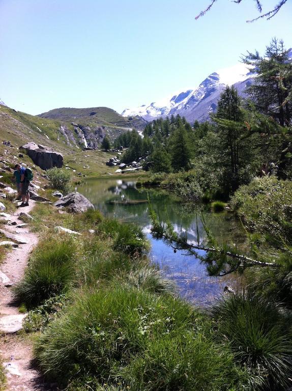 Hausroc-Zermatt Lejlighed Værelse billede